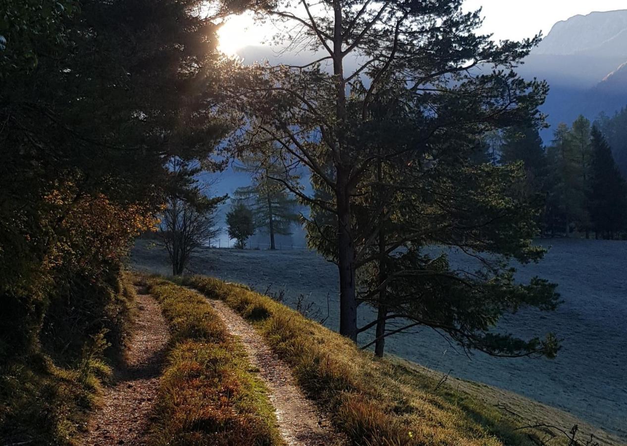 Hof Zur Steinwaend Bed & Breakfast Micheldorf in Oberösterreich Eksteriør bilde